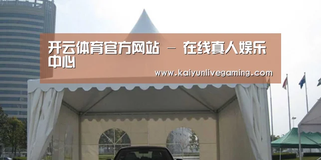 案例标题八