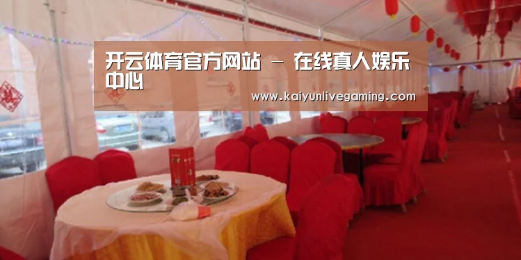 案例标题二