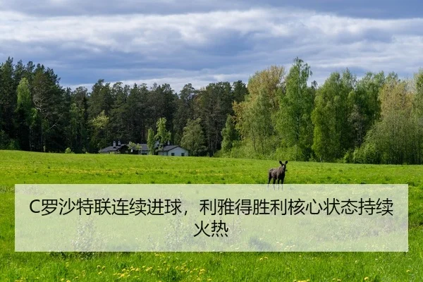 C罗沙特联连续进球，利雅得胜利核心状态持续火热