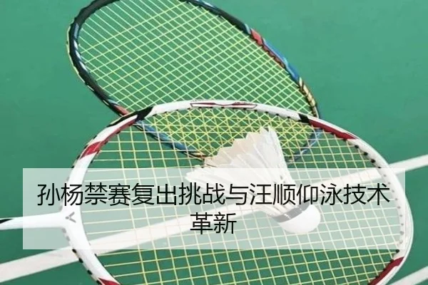 孙杨禁赛复出挑战与汪顺仰泳技术革新