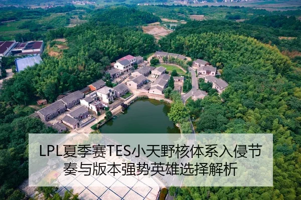 LPL夏季赛TES小天野核体系入侵节奏与版本强势英雄选择解析