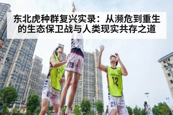 东北虎种群复兴实录：从濒危到重生的生态保卫战与人类现实共存之道